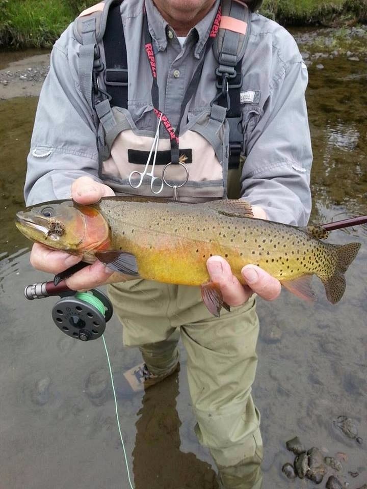 Wind River Fly Fishing