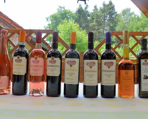 Premium Wine Tour  Degustazione vini Lago di Garda e visita alla cantina –  CONTI THUN