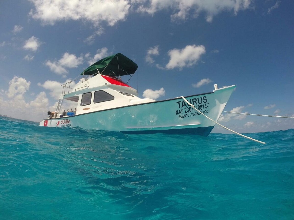 scuba cancun tripadvisor