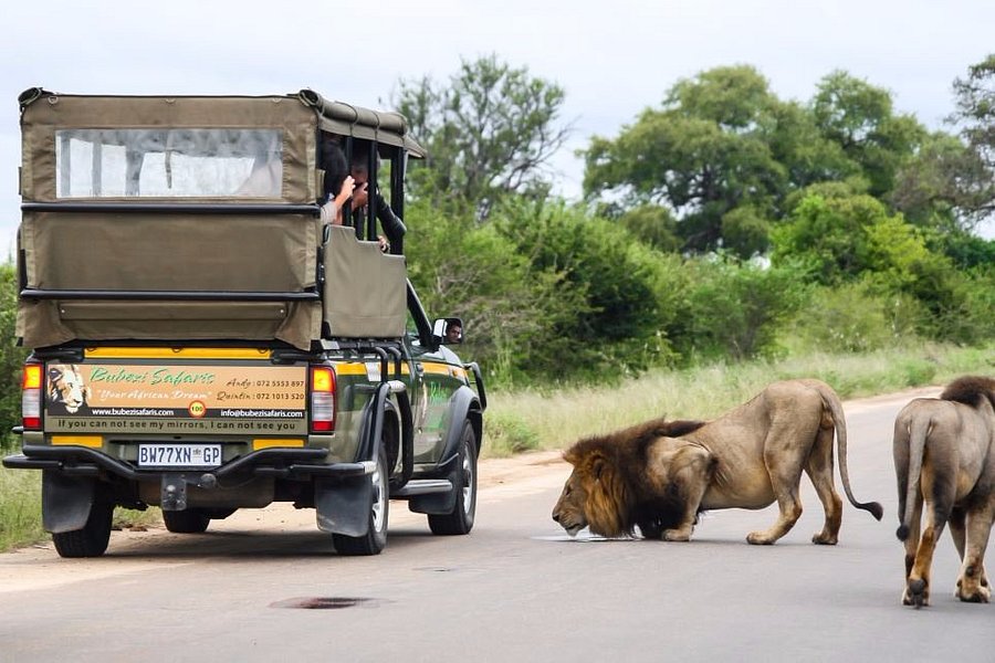 Bubezi Safaris image