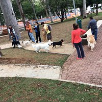 Livres para brincar
