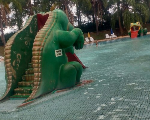 São Paulo para crianças - Pertinho de São Paulo: Viva Parque Aquático  Ecológico tem piscinas, toboáguas e muita diversão para toda família