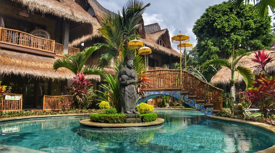 Our beautiful swimming pool!