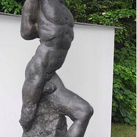 Männlicher Torso