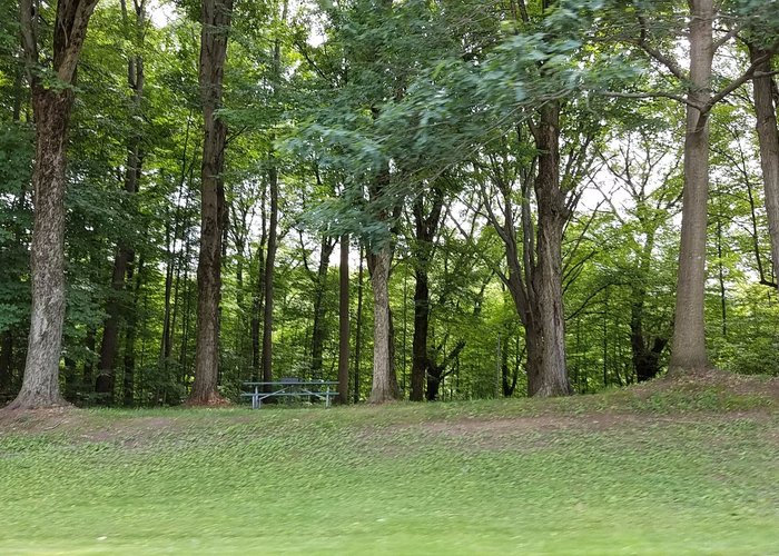wooded areas