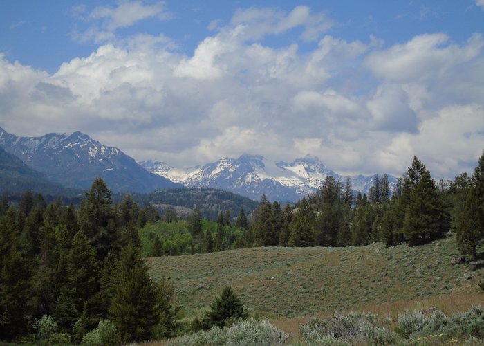 Cooke City, MT 2023: Best Places to Visit - Tripadvisor