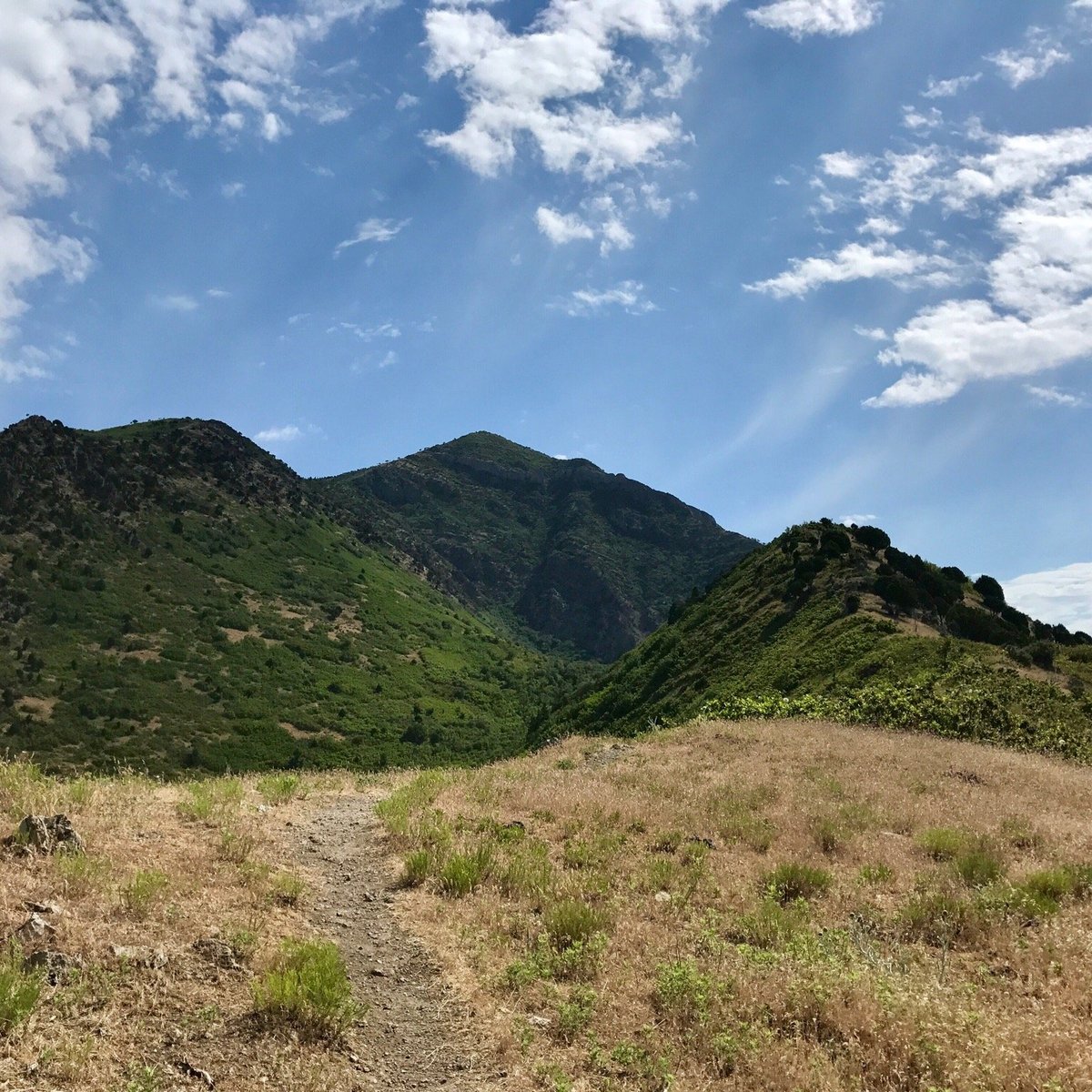 RATTLESNAKE GULCH TRAIL (Salt Lake City) 2022 Qué saber antes de ir