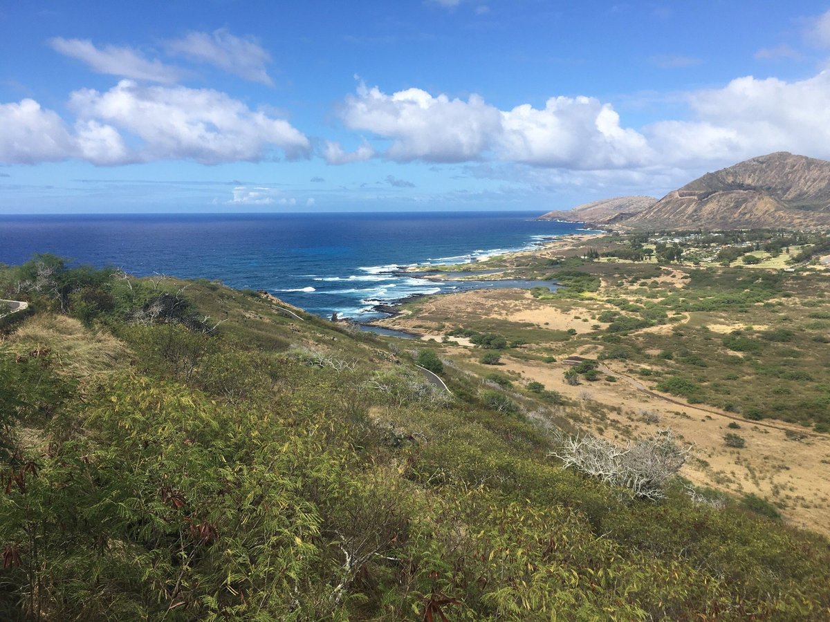 Escape To Paradise: Exploring The Untamed Beauty Of Kaiwi State Scenic Shoreline