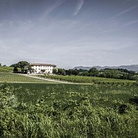 Sulle prime colline del Prosecco