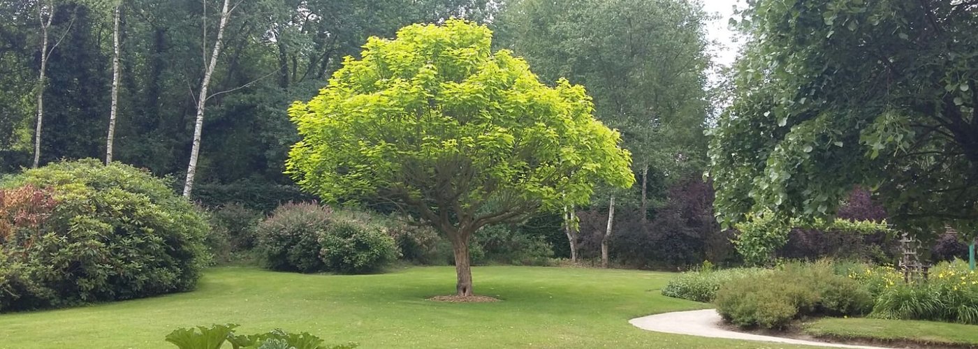 Jardin magnifique