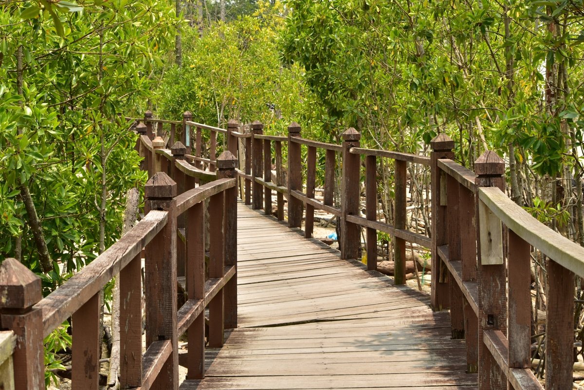 Park national tanjung piai Restoration of