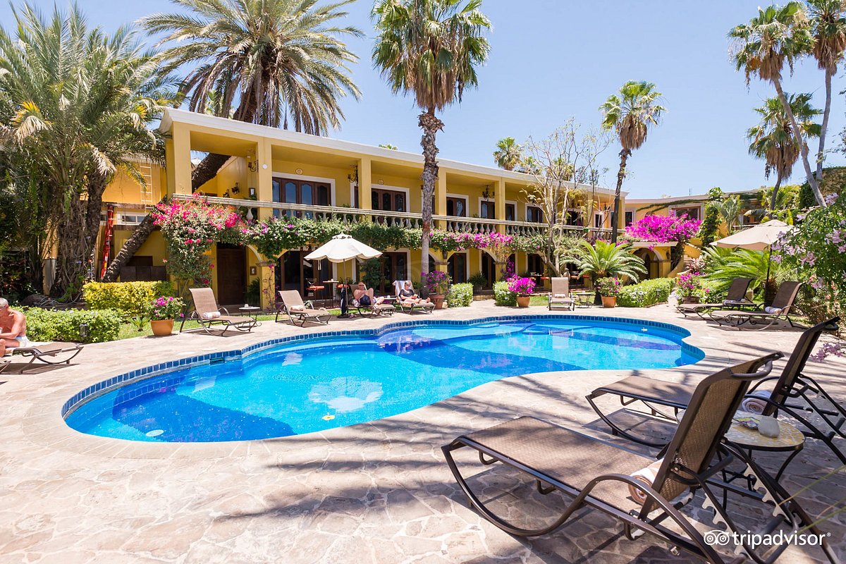 El Encanto Inn &amp; Suites Boutique Hotel, hotel en San José Del Cabo