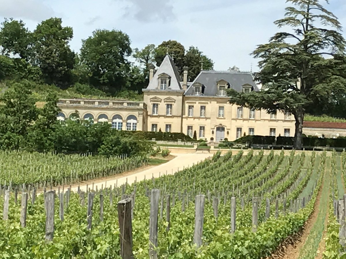 Chateau Fonplegade (Saint-Emilion) - 2022 Qué saber antes de ir - Lo más comentado por la gente - Tripadvisor