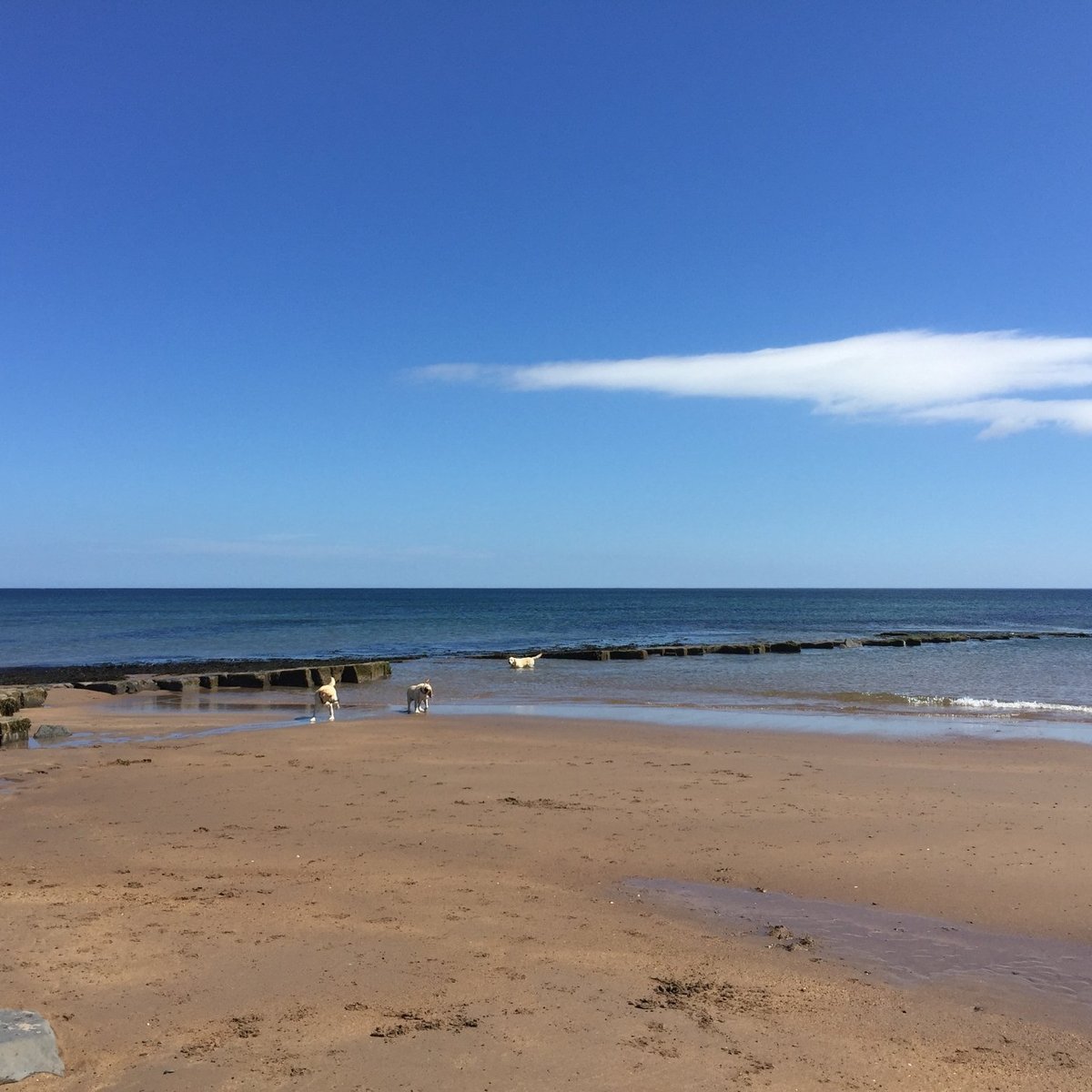 COCKLAWBURN BEACH (2024) All You Need to Know BEFORE You Go (with Photos)