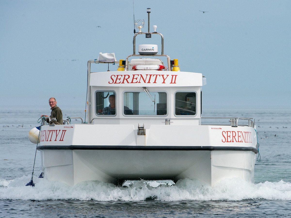 seahouses boat trips serenity