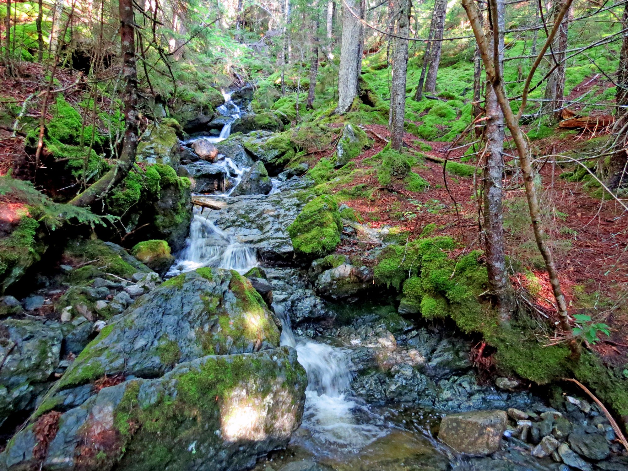 FUNDY NATIONAL PARK Alma 2023 What To Know BEFORE You Go   Peaceful Waterfall On 