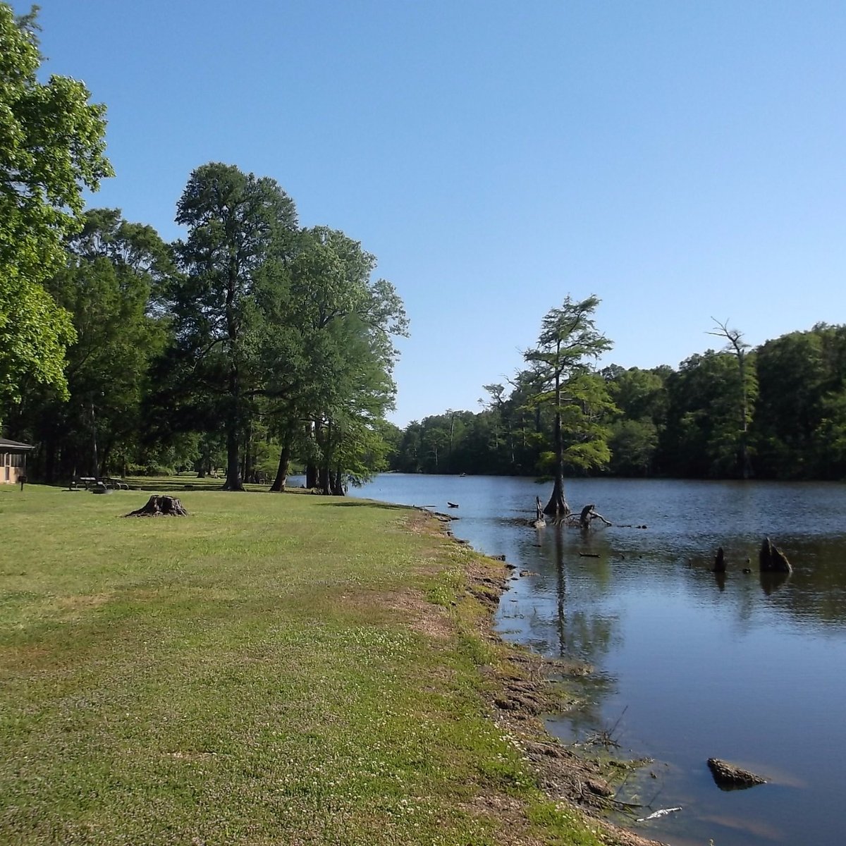 LEROY PERCY STATE PARK (Hollandale) - Qué SABER antes de ir