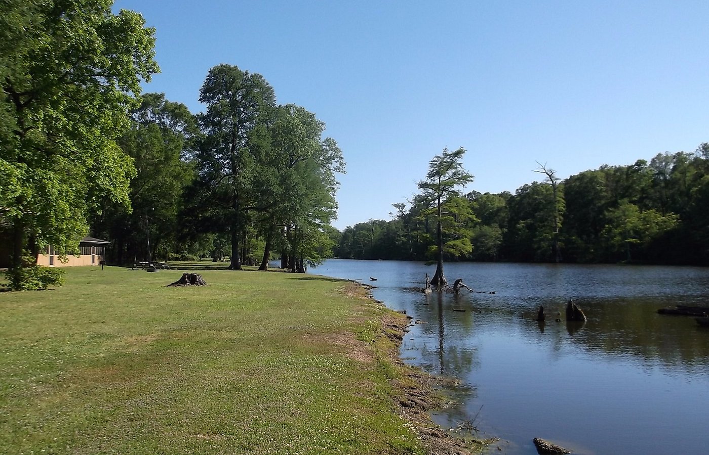 zip trip in hollandale mississippi