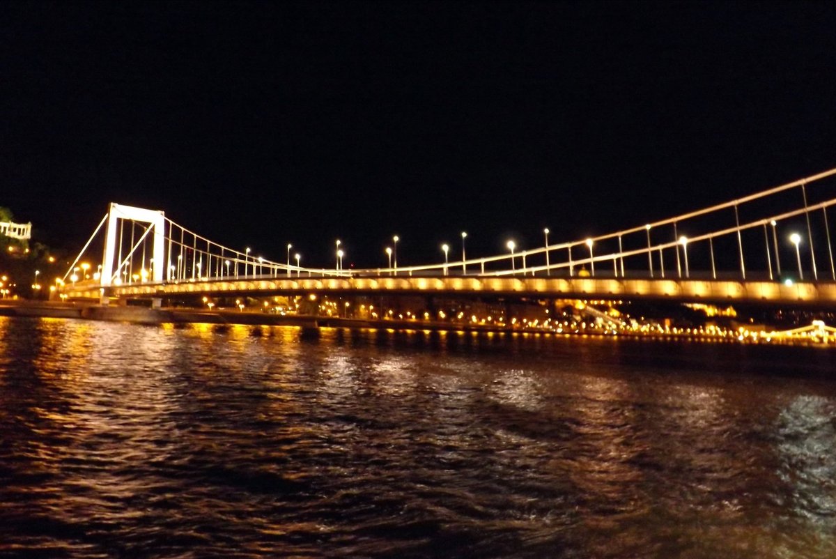 ERZSÉBET BRIDGE (Budapest): Ce qu'il faut savoir pour votre visite ...