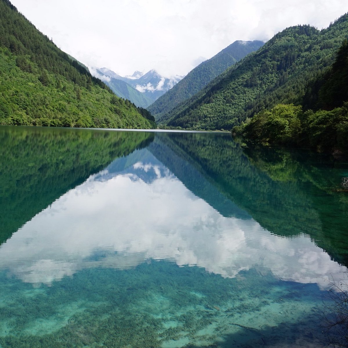 Rhinoceros Lake (Jiuzhaigou County) - All You Need to Know BEFORE You Go