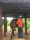 21年 春香ホースランチ 行く前に 見どころをチェック トリップアドバイザー 21年 春香ホースランチ 行く前に 見どころをチェック トリップアドバイザー