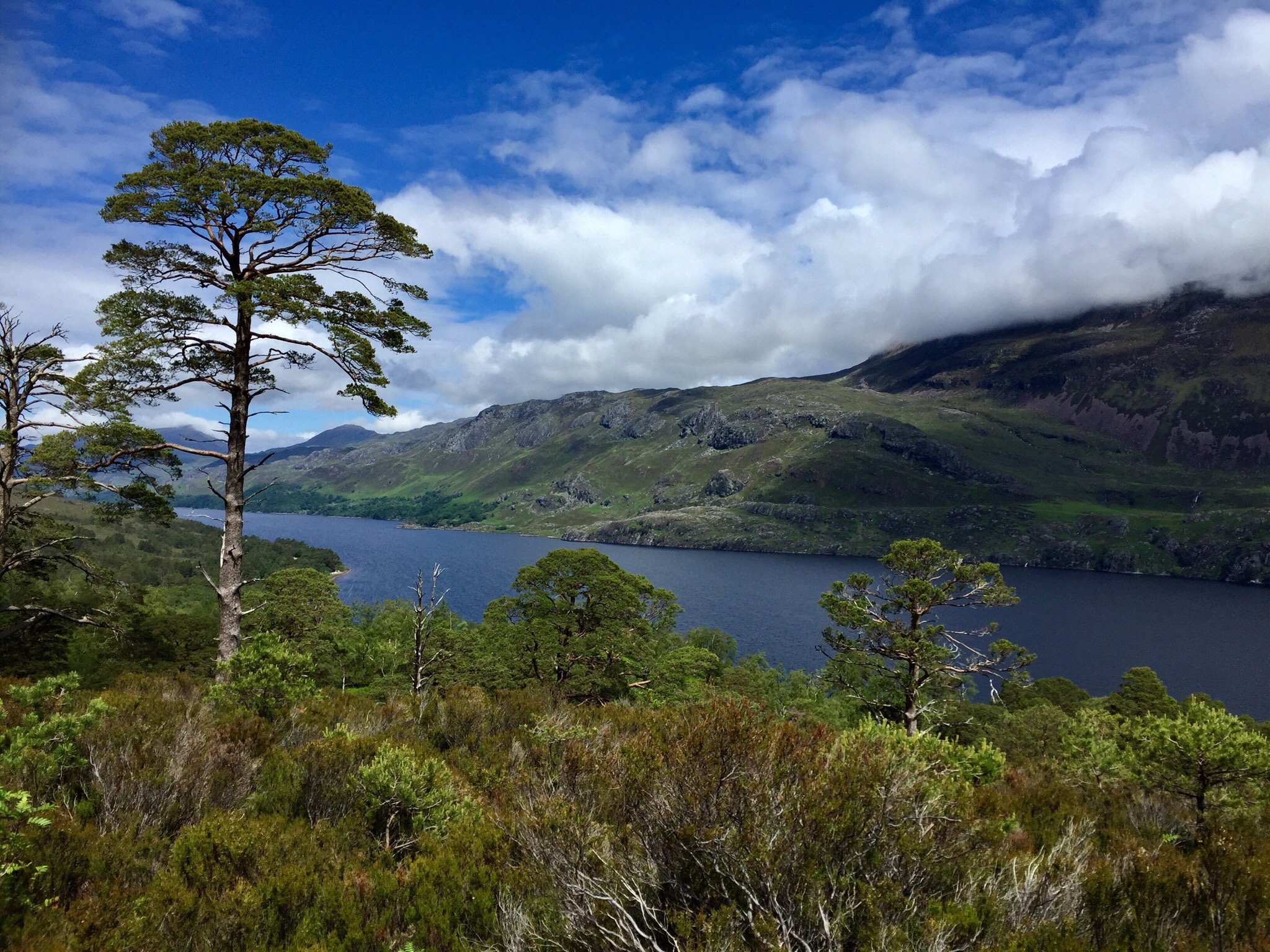 BEINN EIGHE NATIONAL NATURE RESERVE All You Need to Know BEFORE