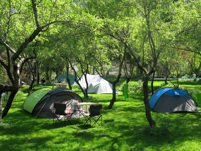 Imagen 1 de Camping Cortijo San Isicio