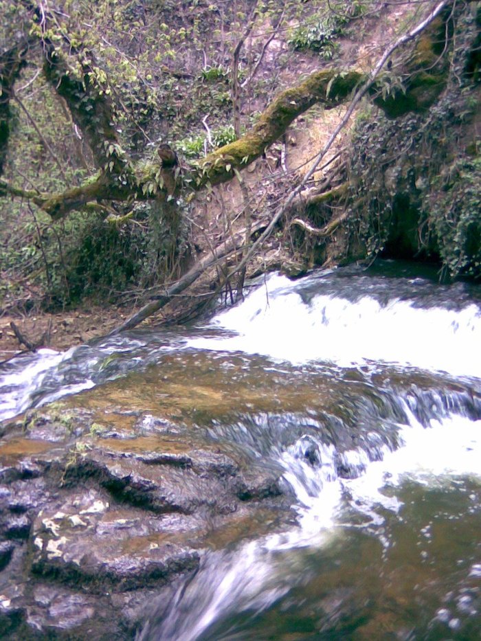 Imagen 10 de Cascada de las Pisas