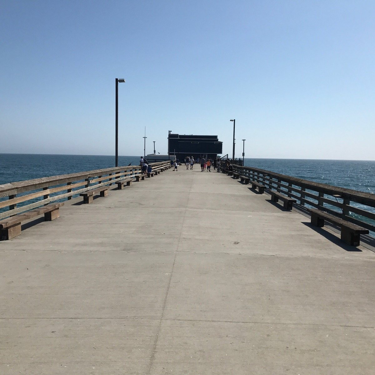 are dogs allowed at newport beach pier