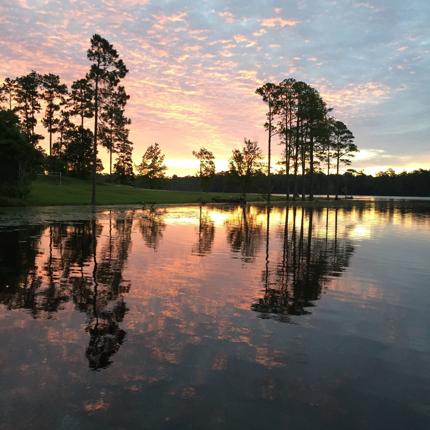 Hattiesburg, MS: All You Must Know Before You Go (2024) - Tripadvisor