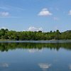 Things To Do in Davy Down Country Park, Restaurants in Davy Down Country Park