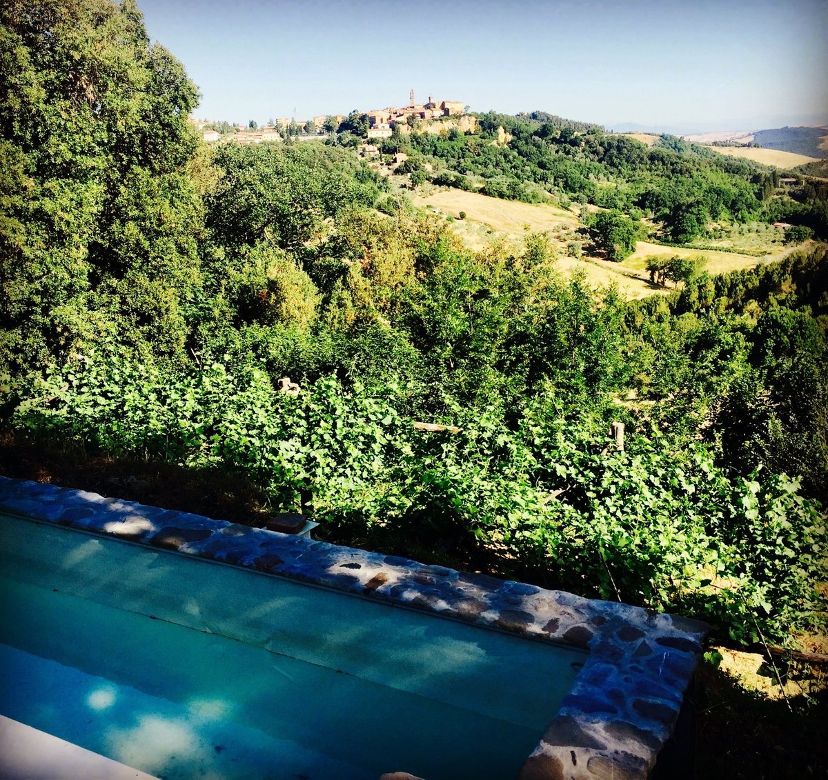 Podere Palazzone Pool: Pictures & Reviews - Tripadvisor