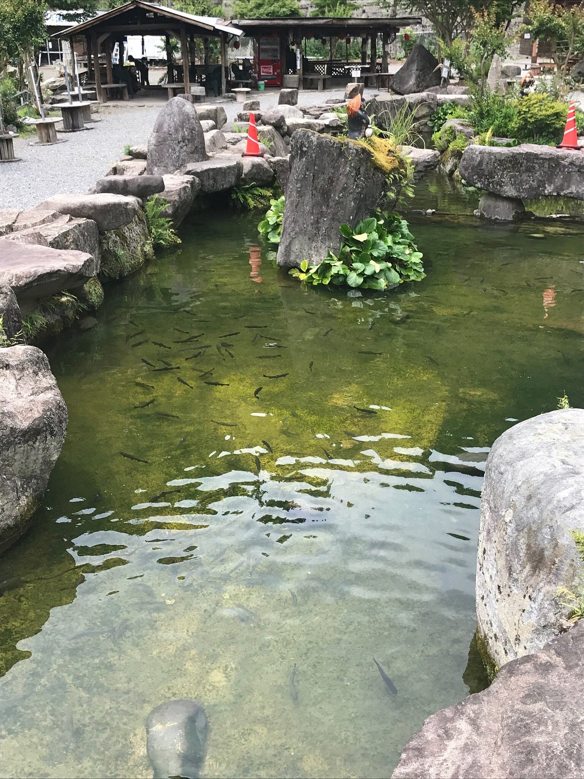 22年 あくだ渓流苑 行く前に 見どころをチェック トリップアドバイザー 22年 あくだ渓流苑 行く前に 見どころをチェック トリップアドバイザー