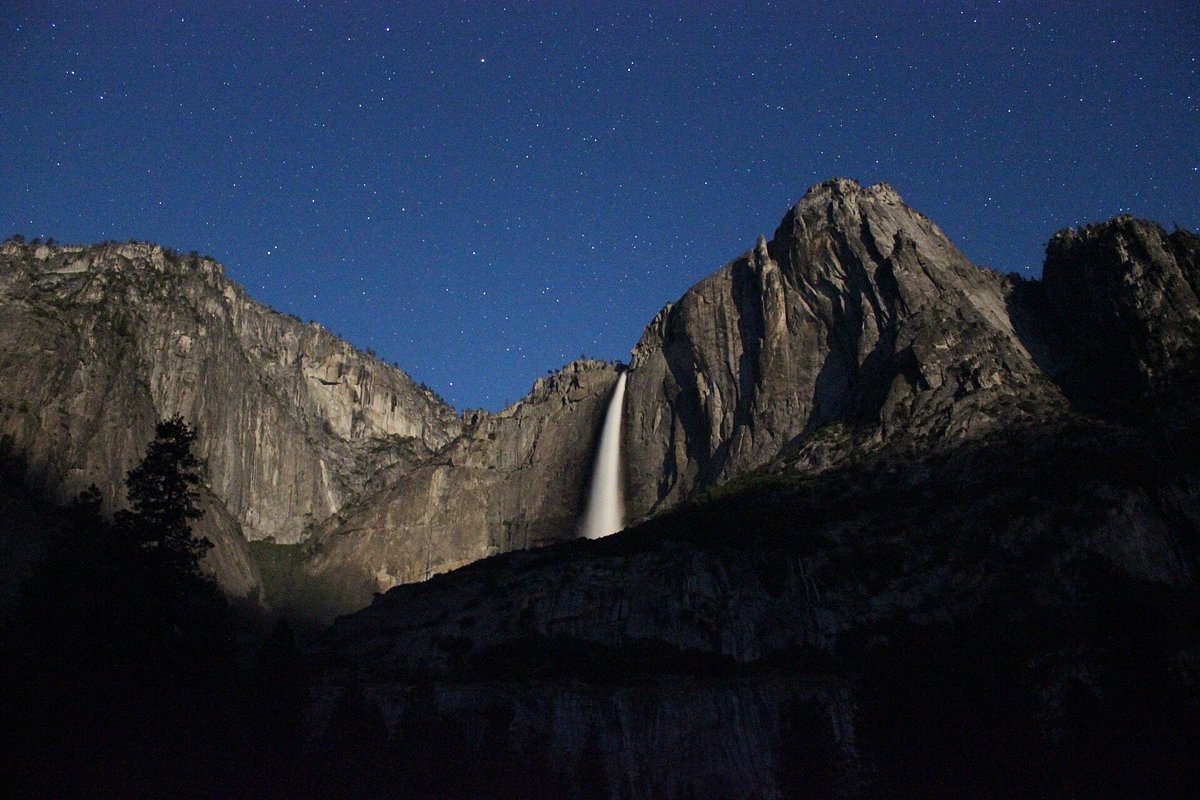 Starry Nights: Visions of the Night Sky — Wildling Museum