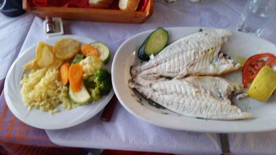 Fabulous fish