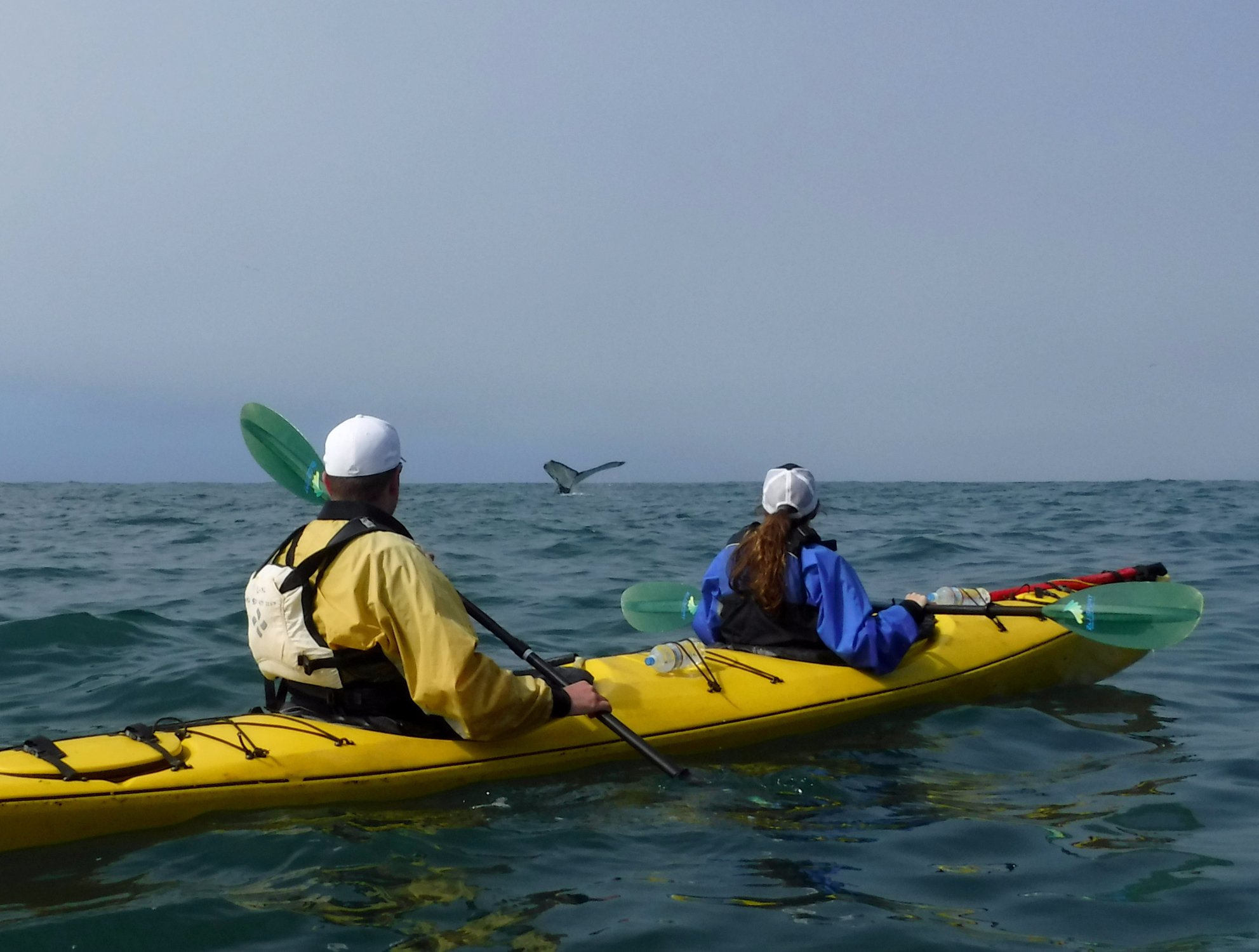 VENTURE QUEST DAY KAYAKING All You Need to Know BEFORE You Go