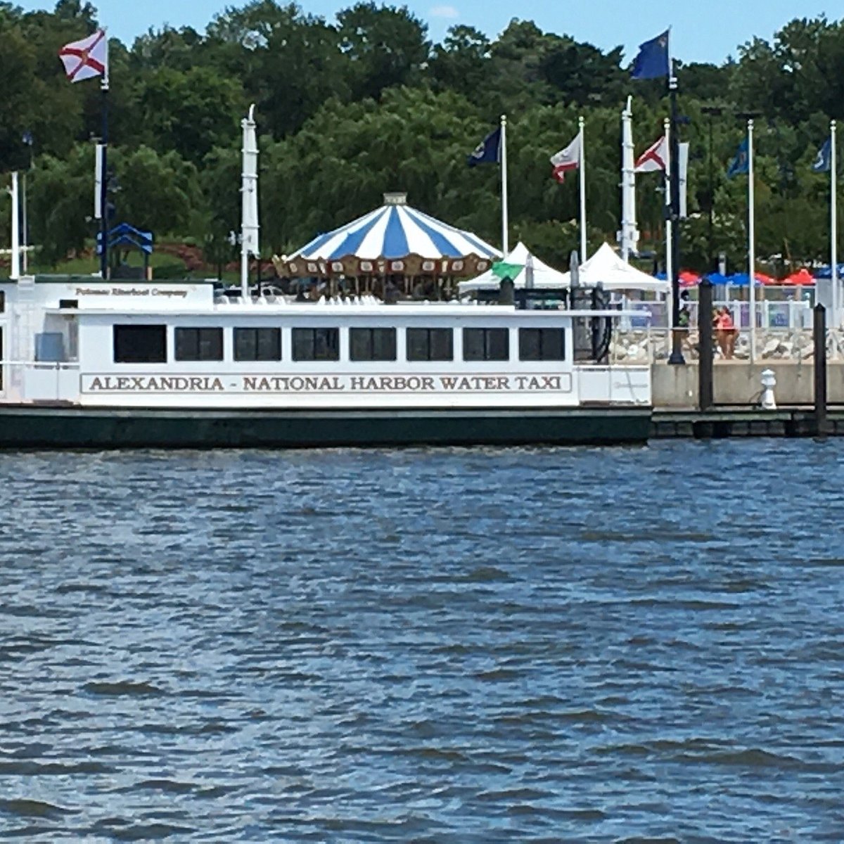 potomac riverboat company water taxi
