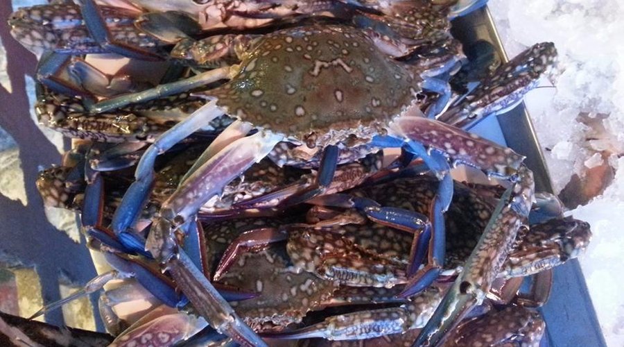 We serve best sea food
