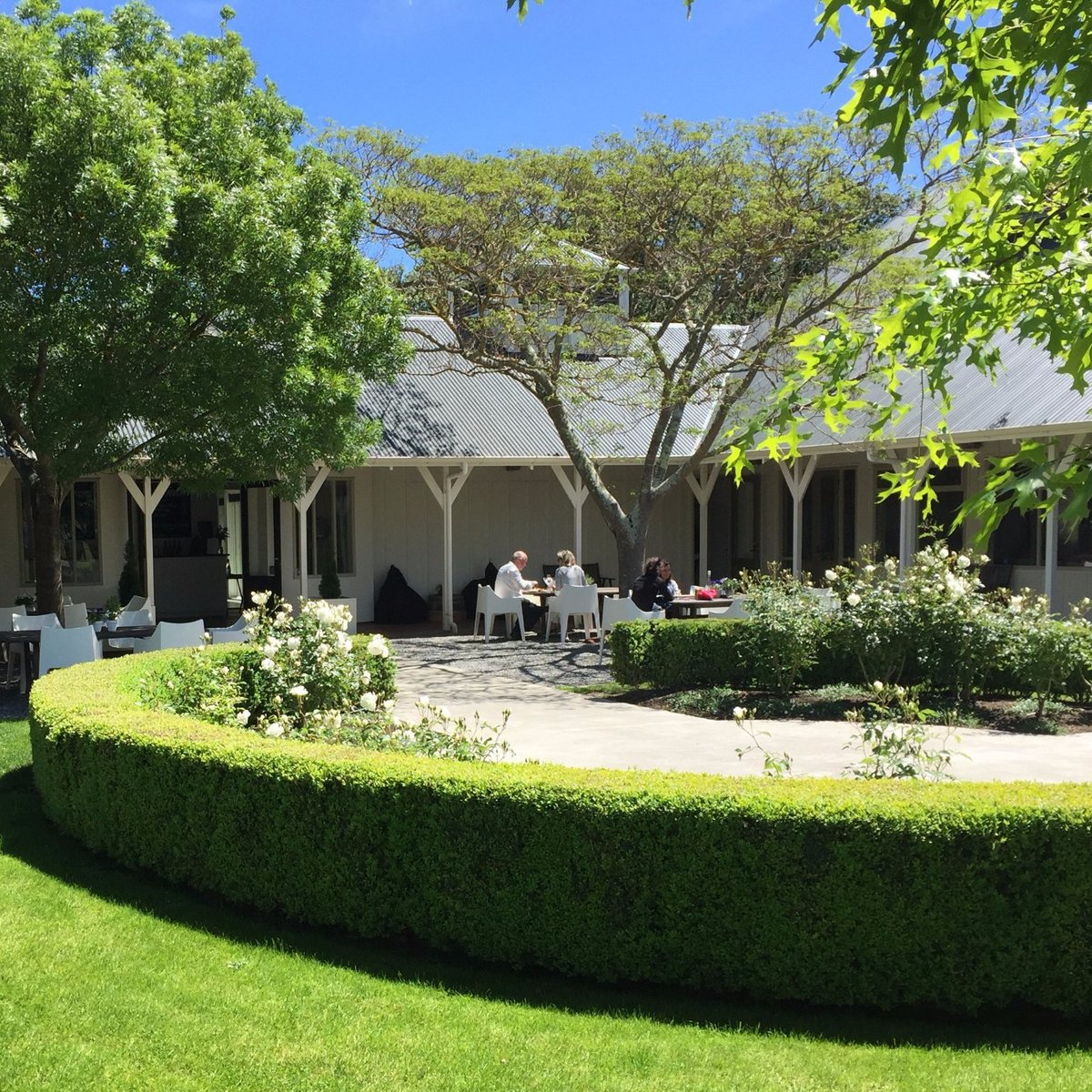 Palliser Estate  Martinborough  2021 All You Need Know BEFORE You