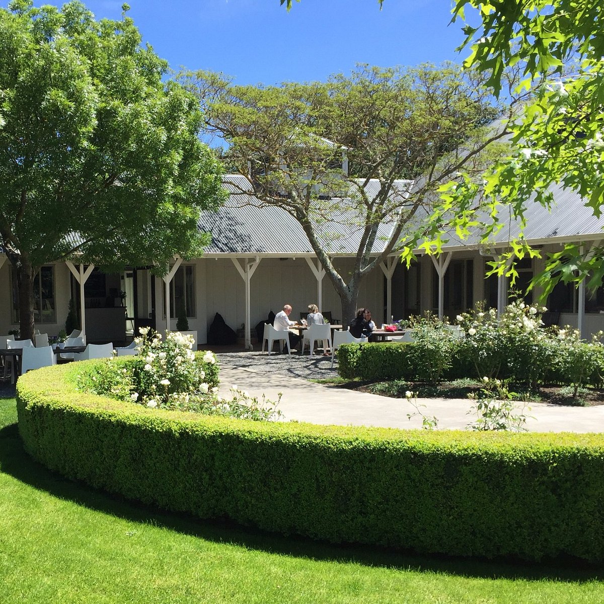 Palliser Estate (Martinborough) - 2021 All You Need to Know BEFORE You