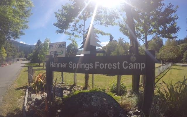Welcome to the Forest Camp