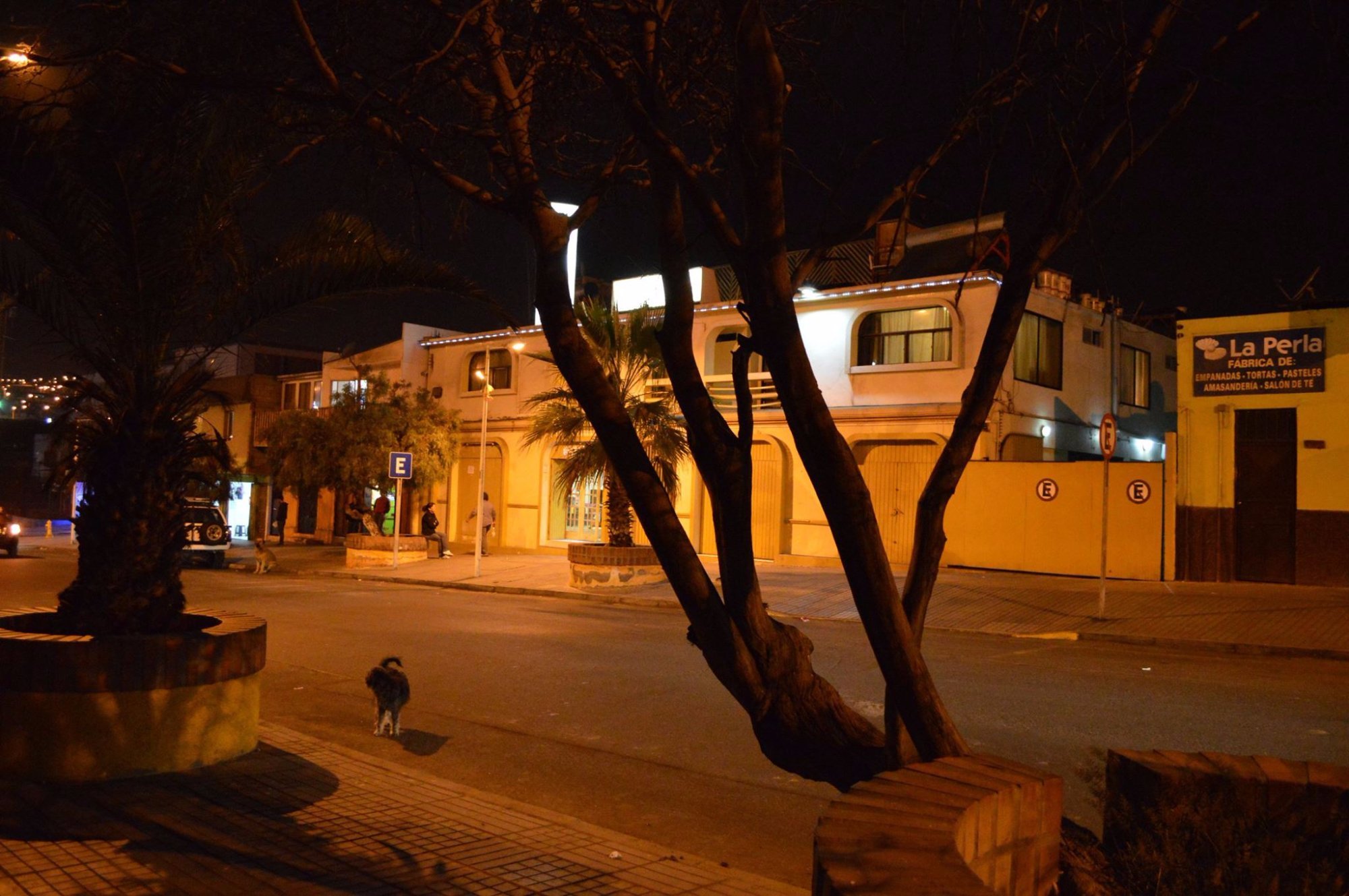 Hotel Galvarino by null