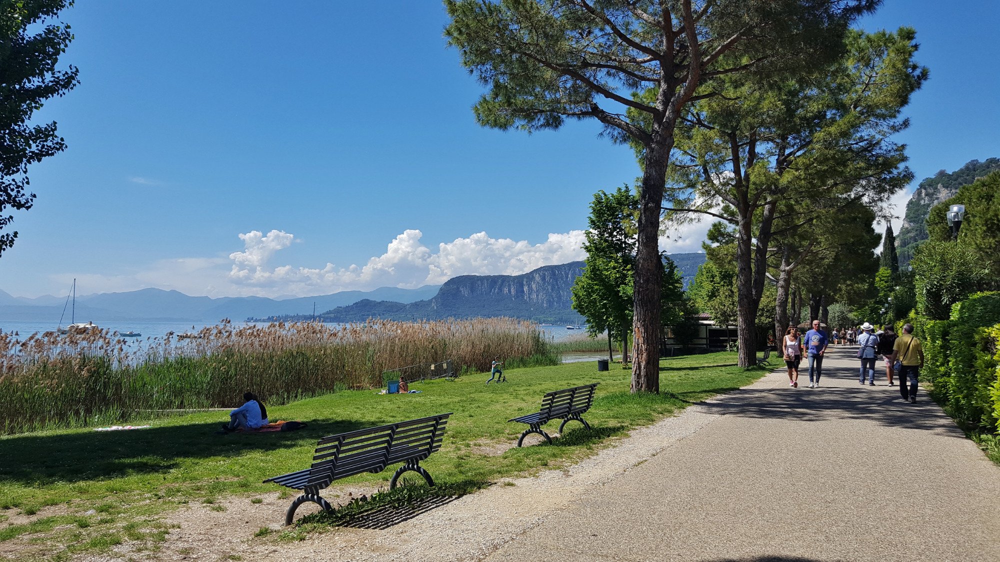 Camping serenella hotsell