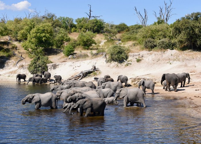 Elephant Bay - Chobe