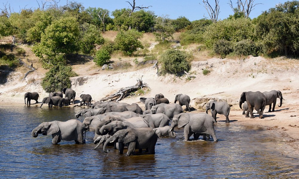 tourist attractions in maun botswana