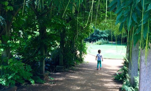 Hylands Park