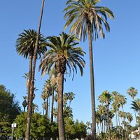 Echo Park (Los Angeles) - All You Need to Know BEFORE You Go
