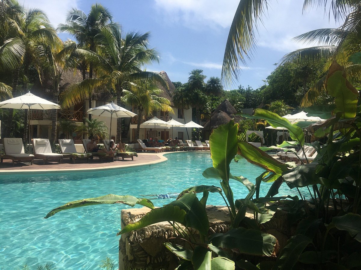 playa del carmen mahekal beach resort review