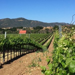 Los Olivos, CA 2023: Best Places to Visit - Tripadvisor