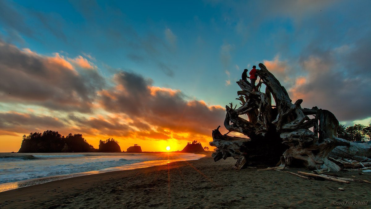 La Push Beach - All You Need to Know BEFORE You Go (2025)